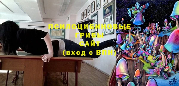 PSILOCYBIN Заречный