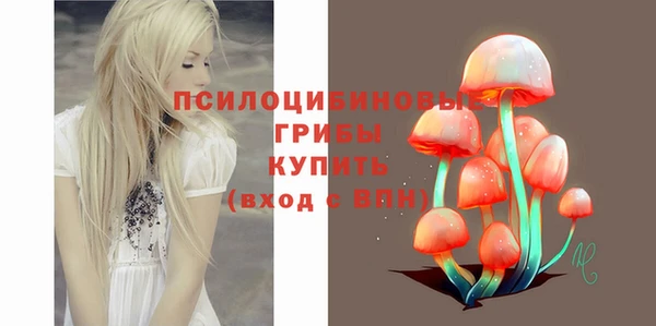 ешки Нягань